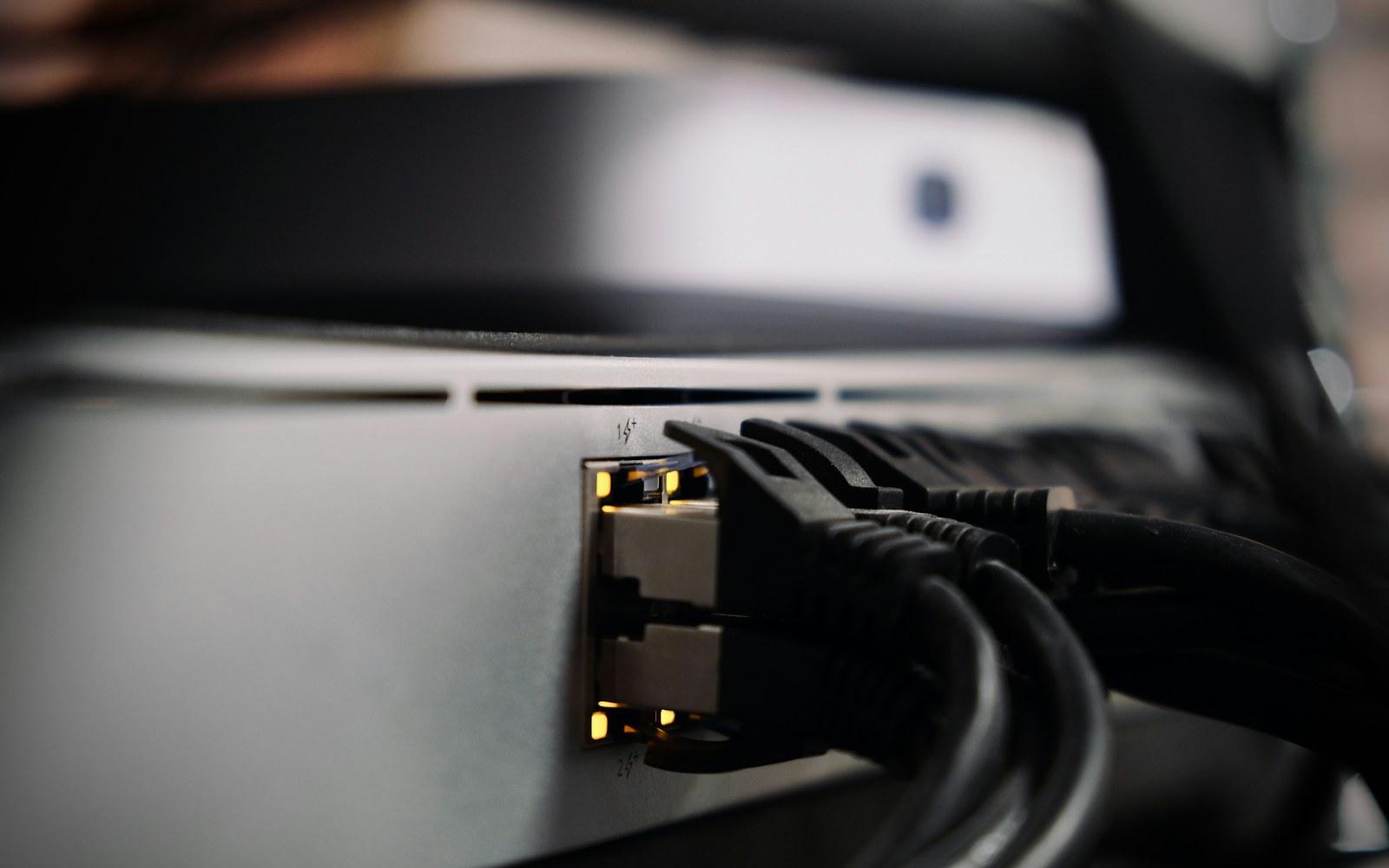 Organized Ethernet cables connected to business network equipment